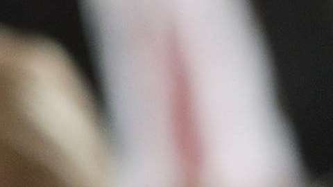 La primera hija Ivanka Trump siempre llama la atención por sus atuendos.