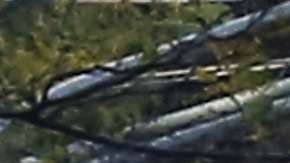 Un fuerte dispositivo se implementó en la zona.