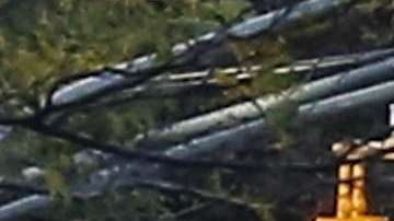 Un fuerte dispositivo se implementó en la zona.