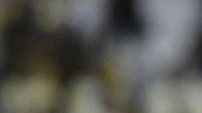 Paci Jémez, técnico del Cruz Azul