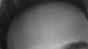 Lista de ganadores de los Latin AMAs 2017