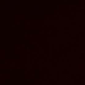 El último concierto que realizó Jenni Rivera