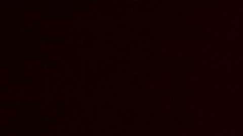 El último concierto que realizó Jenni Rivera