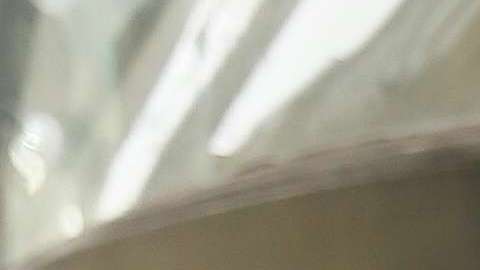 Jennifer López y Alex Rodríguez aún no hablan de boda.