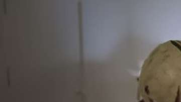 Chicharito fue víctima de una "monstruosa" broma del West Ham