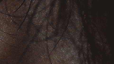 Y a ti, ¿te gustan los hombres con barba?