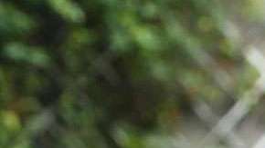 Salma Hayek y Francois-Henri Pinault.