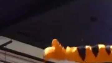 El disfraz de John Sundquist para este Halloween.