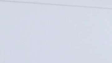 La Patrulla Fronteriza no tiene suficientes controles internos y un alto número de despidos y problemas disciplinarios. (Foto Archivo)