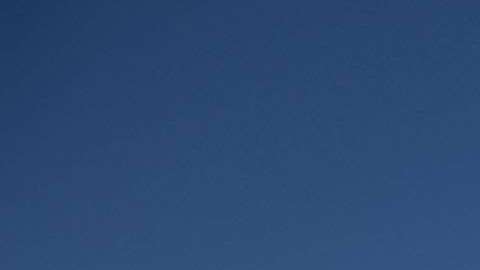 Los veteranos ondearon una bandera de EEUU.