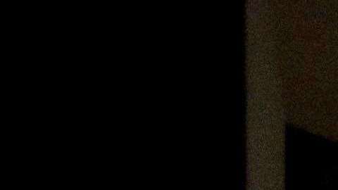 La obra 'Salvator Mundi' atribuída a Leonardo da Vinci se convirtió hoy en la pinctura más cara vendida en subasta de la historia. EFE/ Justin Lane