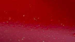 El auto tiene un valor de más de $300,000 dólares /EFE