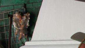 La tumba está llena de objetos infantiles. EFE