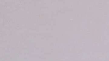 Trump y Putin se saludan en la Cumbre del la APEC en Da Nang (Vietnam). Michael Klimentyev/SPUTNIK/EFE.