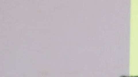 Trump y Putin se saludan en la Cumbre del la APEC en Da Nang (Vietnam). Michael Klimentyev/SPUTNIK/EFE.