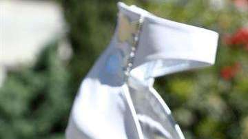 A la joven le encargaron algo innovador. EFE