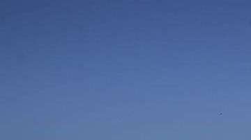 Apareció  frente a la turística playa de Ipanema de Río de Janeiro. EFE