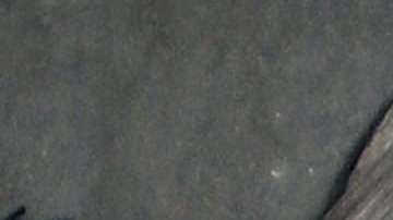 Manson heredó a un completo desconocido.