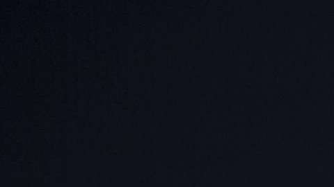 Luz y humor como muestra del rechazo de artistas hacia el muro de Trump