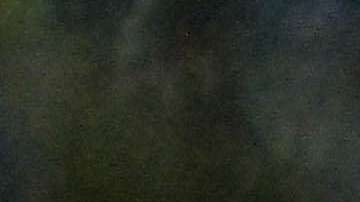 Manifestantes de la Alianza de Oposición contra la Dictadura protestan en Tegucigalpa y otras ciudades del país contra un supuesto "fraude" en los comicios. EFE/Gustavo Amador