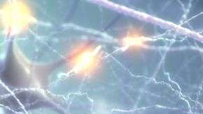 Las neuronas son células que transmiten y reciben información en forma de electricidad.