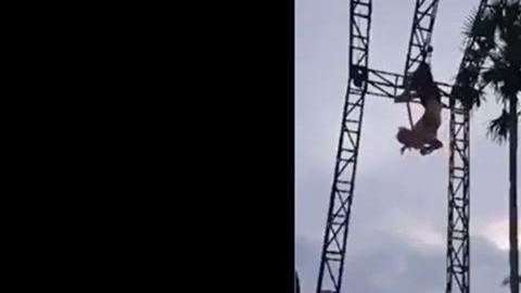 Sam Panda cayó de una altura de entre tres y cuatro metros.