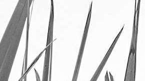 Ana Brenda Contreras confirmó la muerte de su padre