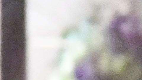 Esto viene a confirmar la consolidación del romance que iniciaron hace meses en Tailandia.