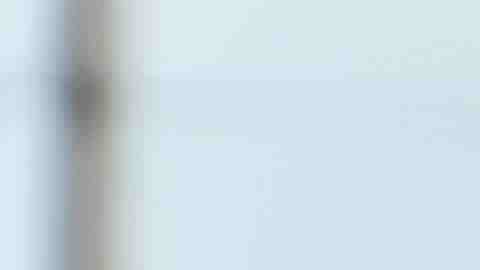 El grupo GOAL busca recaudar dinero para graduar árbitros a nivel de High School. (Javier Quiroz / La Raza)