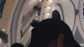 A varios les llaman la atención estos árboles invertidos.