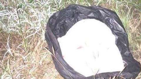 Un conductor descubrió al recién nacido.