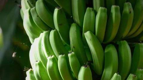 La refrigeración permitió que se exporten bananas a todo el mundo. Getty
