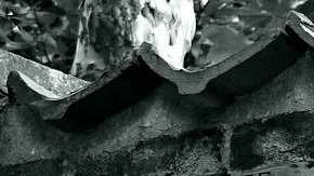 Las imágenes de sostenes son detectadas fácilmente.