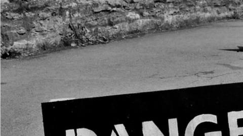 ¿Qué encontraron en ese jardín?