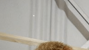 Henry y William visitaron el estudio en 2016.