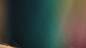 Un gato callejero sería investigado por un delito.