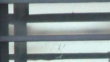 A Sayfullo Saipova se le atribuye el arrollamiento que dejó ocho muertos y 11 heridos en el Bajo Manhattan.