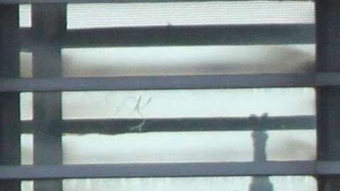 A Sayfullo Saipova se le atribuye el arrollamiento que dejó ocho muertos y 11 heridos en el Bajo Manhattan.