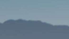 Cheetah vs Formula E