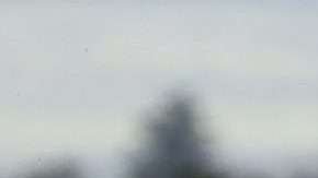 La campaña trata de concienciar de la influencia del cambio climático sobre las especies en peligro de extinción.