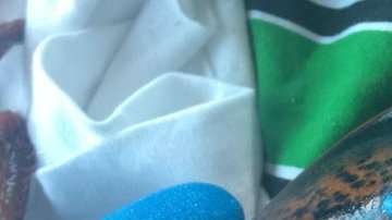 La langosta tiene integrado el logo del refresco en su pinza.