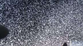 El momento en que los jugadores de Toronto FC levantan la Copa de Campeones de la Conferencia Este de la MLS.