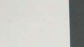 La actriz también posó como todo una Raiderette.