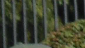 Porristas convivieron con los pequeños del Hospital Shriners de la Ciudad de México.