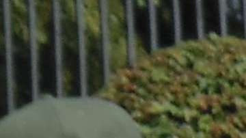 Porristas convivieron con los pequeños del Hospital Shriners de la Ciudad de México.