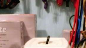 Evan es un niño de 10 años que dona su paga a una ONG que protege gatitos abandonados.