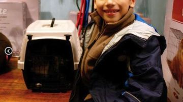 Evan es un niño de 10 años que dona su paga a una ONG que protege gatitos abandonados.