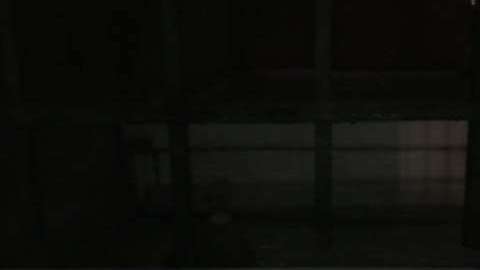 El Twitter, Adam Ellis compartió la cronología de las supuestas apariciones paranormales.