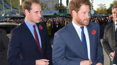 Los príncipes William y Harry.