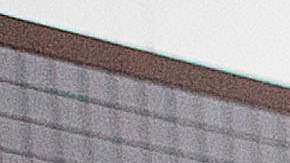 Los fallecimientos por fuerza policial excesiva sobrepasa a ciudades como Los Ángeles, Nueva York y San Francisco